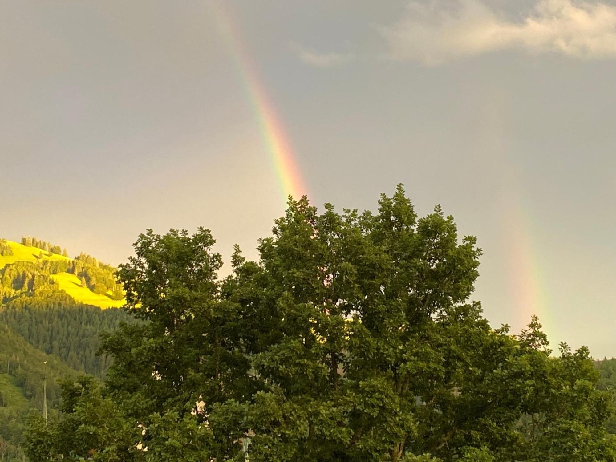 Ferienwohnung Schoenblick Schönau im Schwarzwald Dış mekan fotoğraf